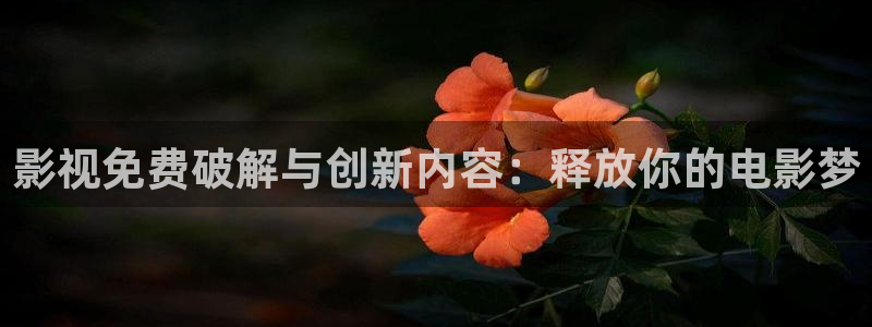 六安红叶影城电影：影视免费破解与创新内容：释放你的电影梦