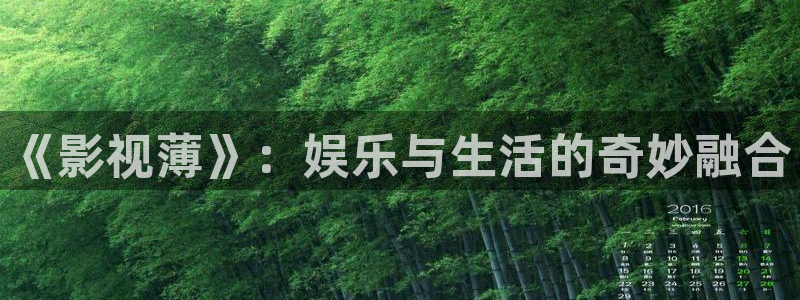 红叶影院免费观看电视剧：《影视薄》：娱乐与生活的奇妙融合