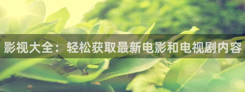 红叶电影：影视大全：轻松获取最新电影和电视剧内容