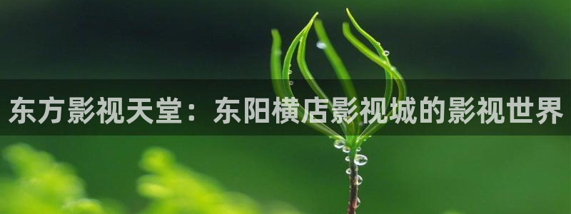 红叶影院下载：东方影视天堂：东阳横店影视城的影视世界