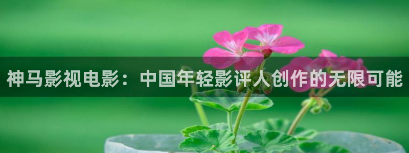 红叶影视app官方下载：神马影视电影：中国年轻影评人创作的无限可能