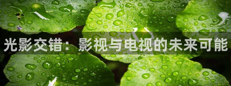 红叶影视app官方下载：光影交错：影视与电视的未来可能