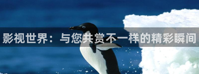 红叶影视完整版：影视世界：与您共赏不一样的精彩瞬间
